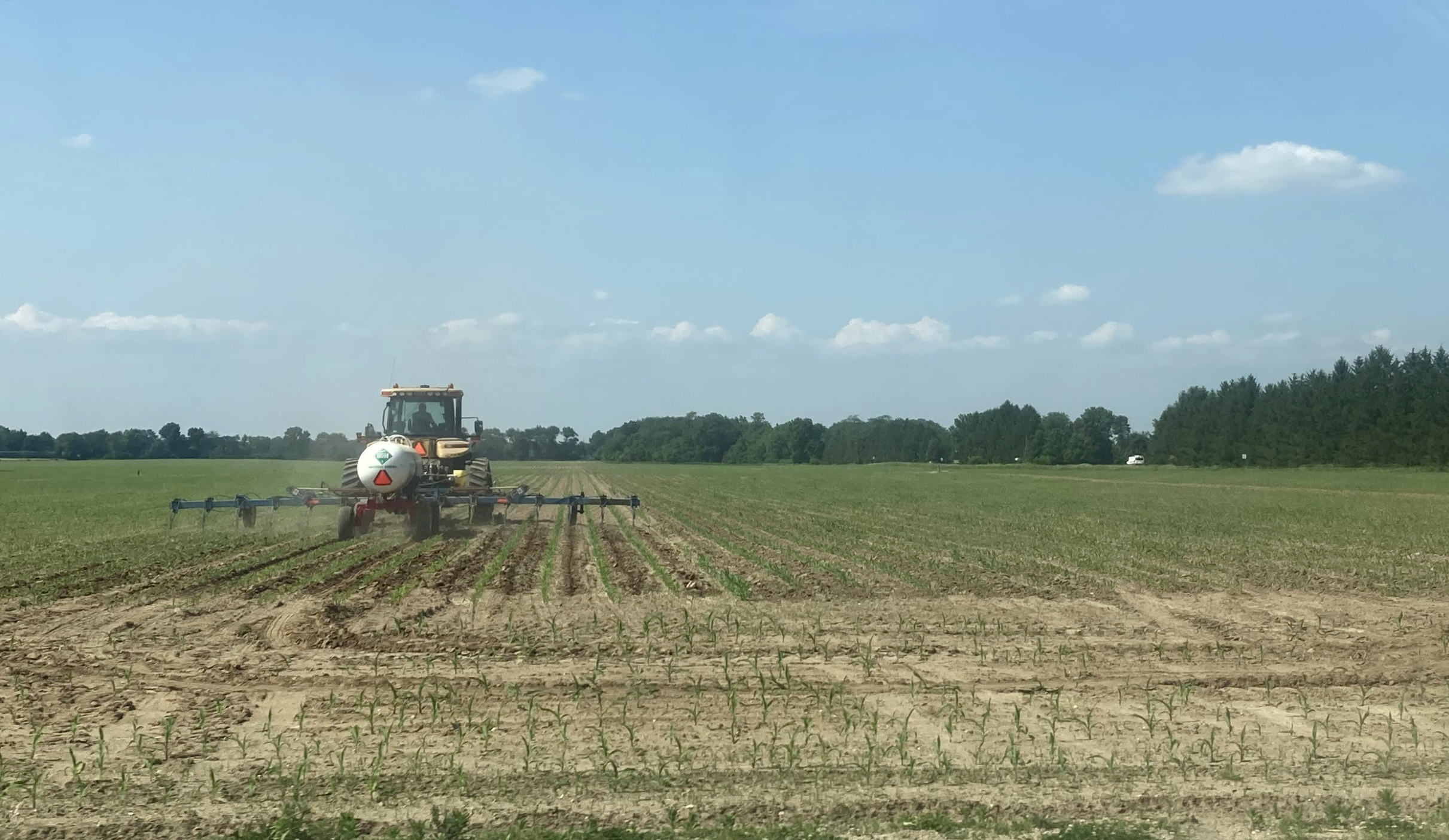 A tractor applying nitrogen sidedress to a corn field.